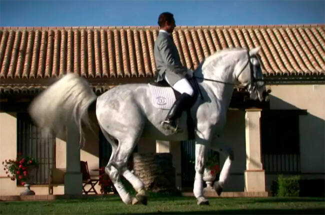 india martinez msvision